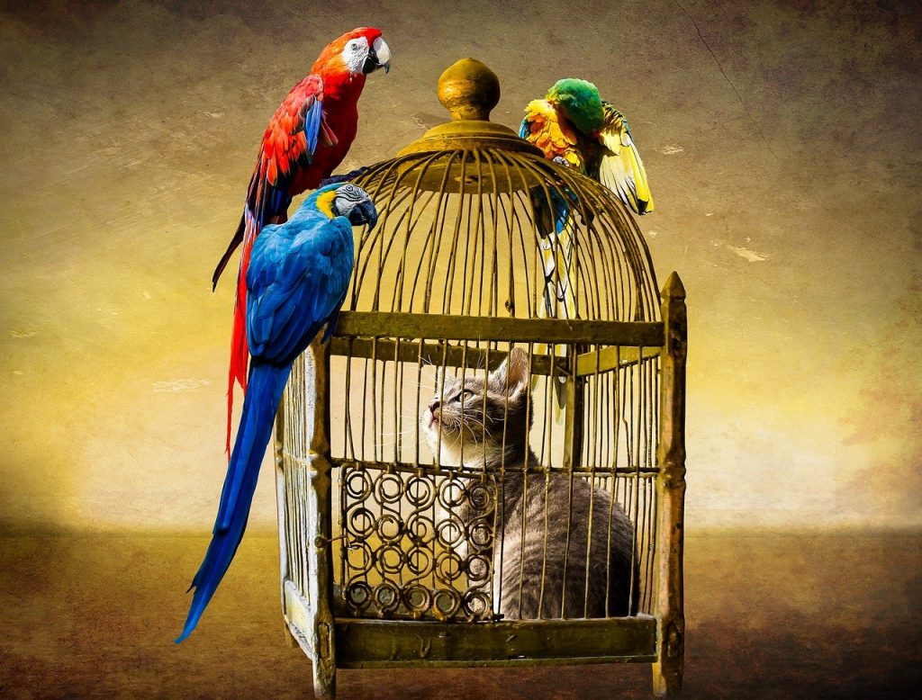 Familiars-in-fiction
