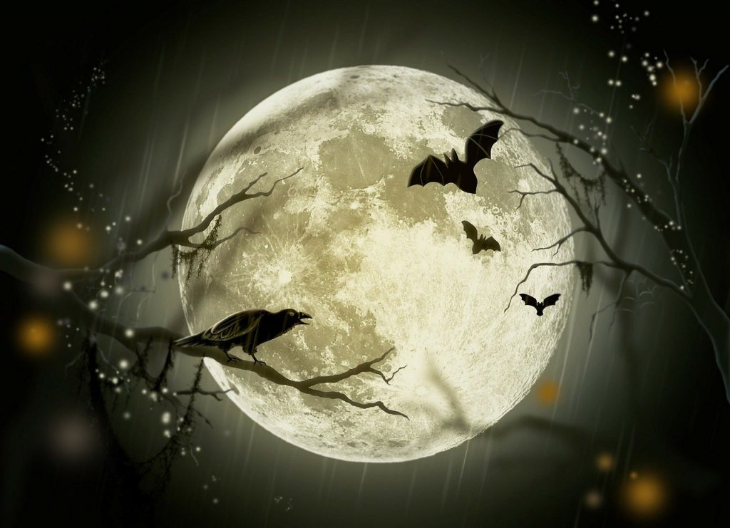 Mystery and Magic