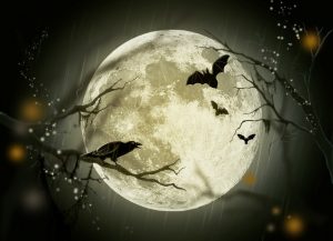 Mystery and Magic