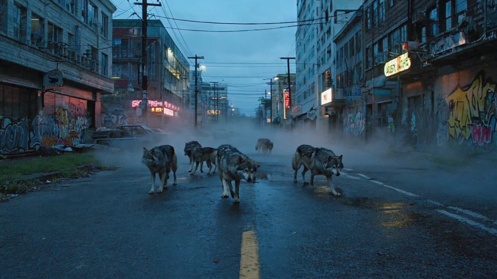 Wolf-Shifters-IRL Wolf-shifter-IRL