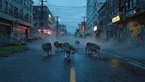 Wolf-shifter-IRL